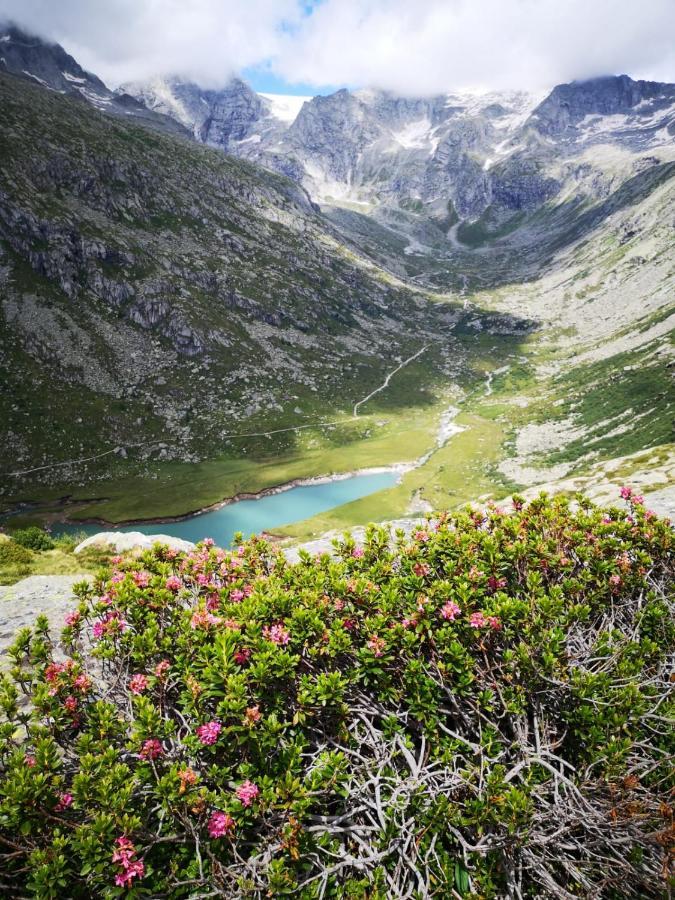 Rifugio Stella Alpina Hotel Saviore dell'Adamello Kültér fotó
