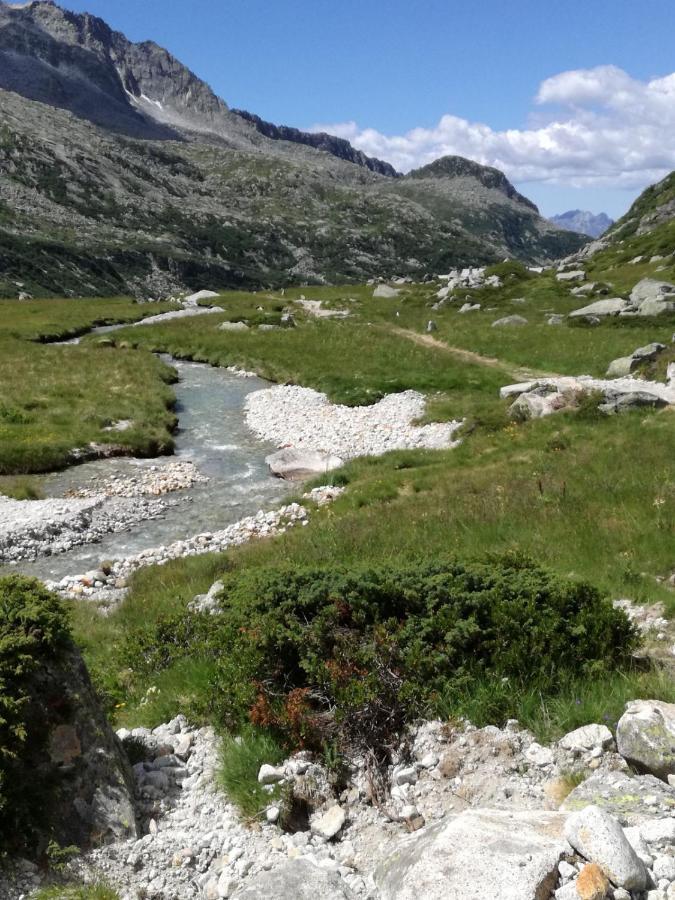 Rifugio Stella Alpina Hotel Saviore dell'Adamello Kültér fotó